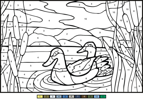 Mullard Ducks Color By Number Coloring Page